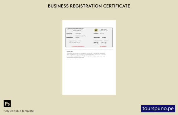 listo para imprimir Plantilla de certificado de licencia comercial de EE. UU. Ca
